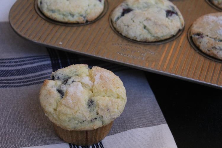 Gluten Free Blueberry Coffee Cake Muffins 