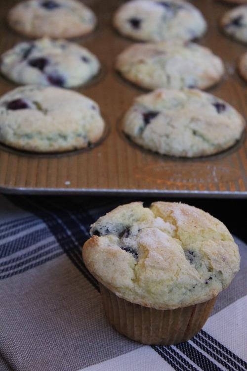 Gluten Free Blueberry Coffee Cake Muffins