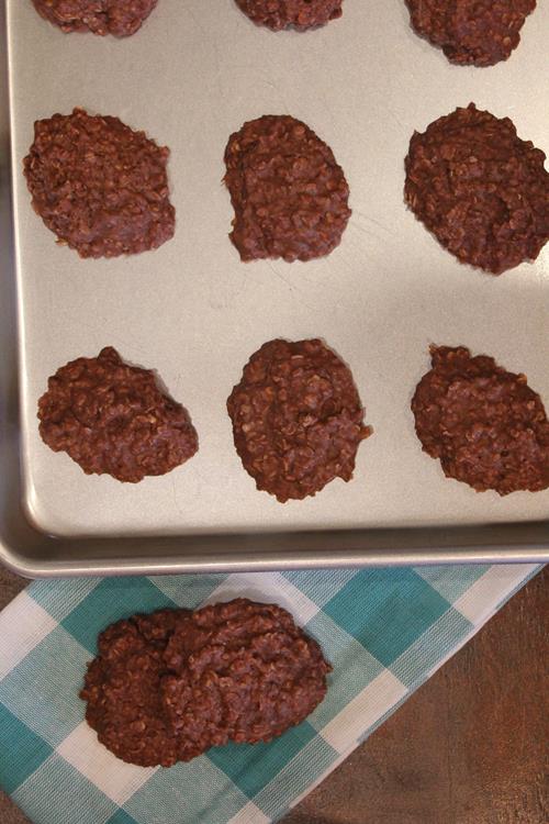 Dairy Free No Bake Cookies