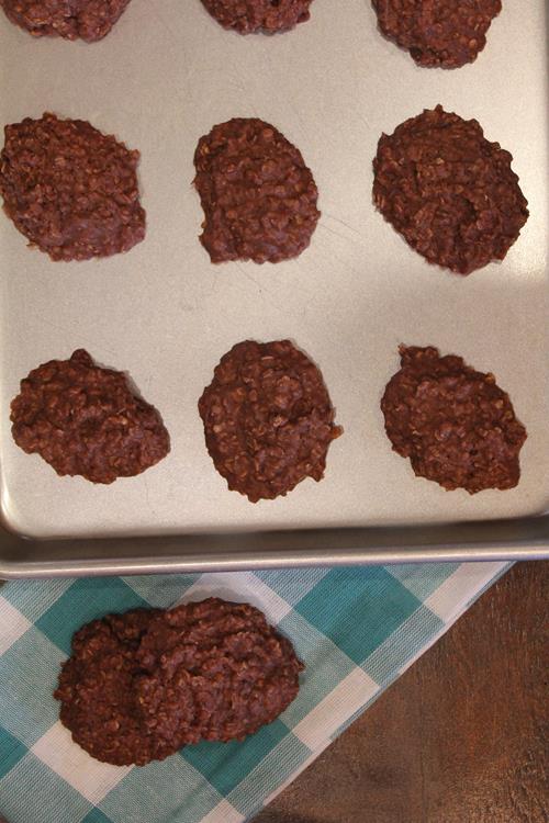 Dairy Free No Bake Cookies