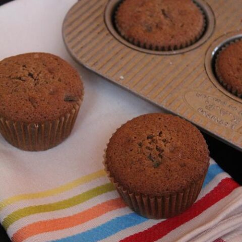 Double Chocolate Gluten Free Mocha Muffins