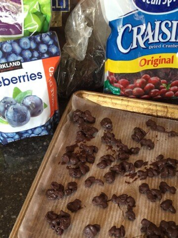 Chocolate Covered Dried Fruit