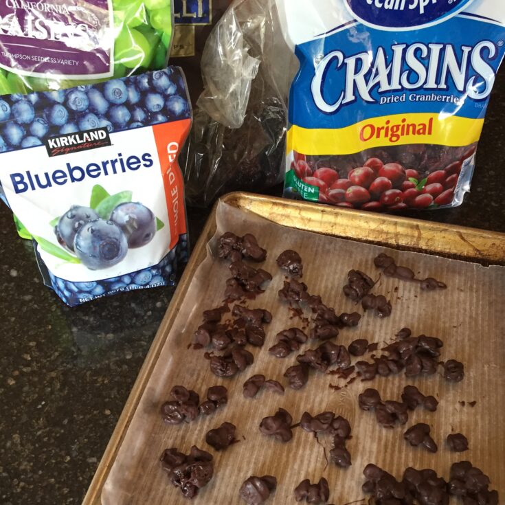 Chocolate Covered Dried Fruit