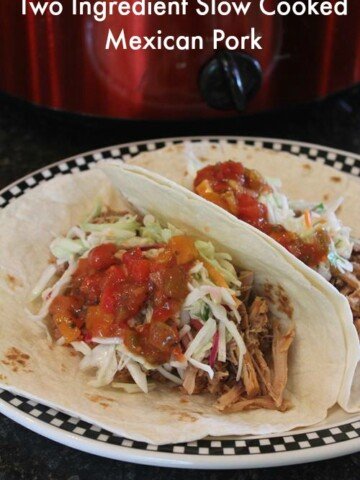 Two Ingredient Slow Cooked Mexican Pork