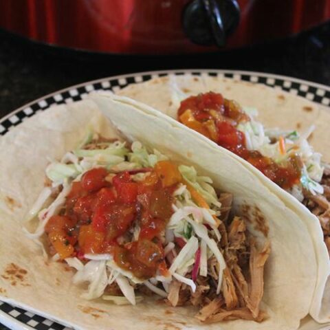 Two Ingredient Slow Cooked Mexican Pork