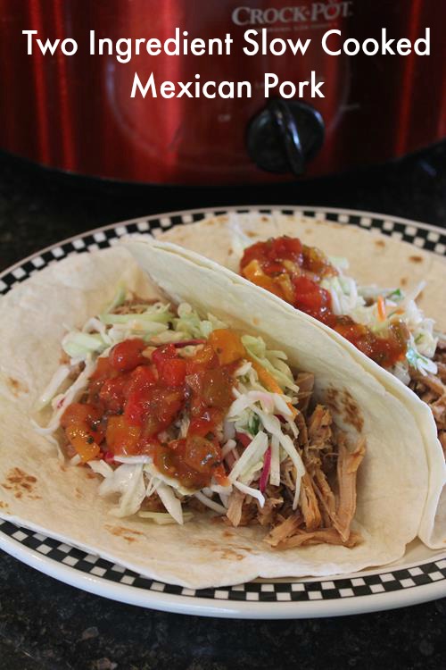 Two Ingredient Slow Cooked Mexican Pork