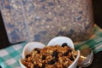 Homemade Cinnamon Raisin Granola