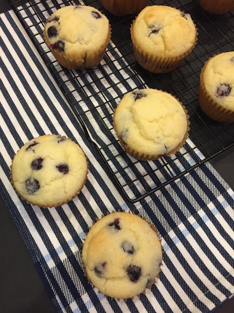 Basic Gluten Free Muffins