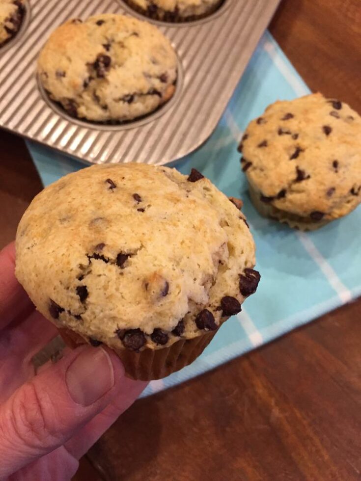 Sour Cream Chocolate Chip Muffins