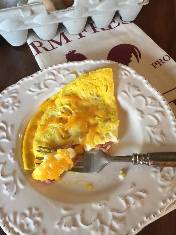 Bacon and Cheese Microwave Omelet