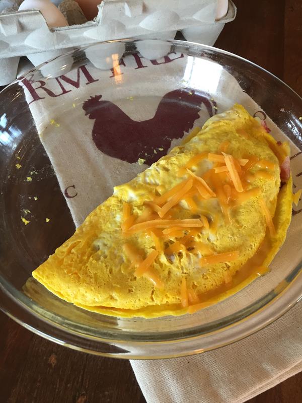 Bacon and Cheese Microwave Omelet