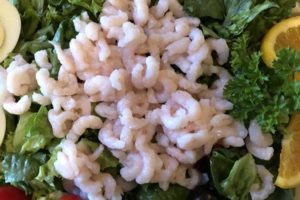 Shrimp Salad