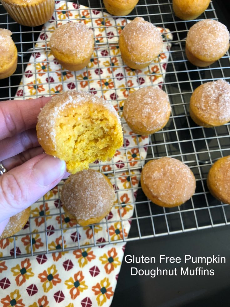 Gluten Free Pumpkin Doughnut Muffins