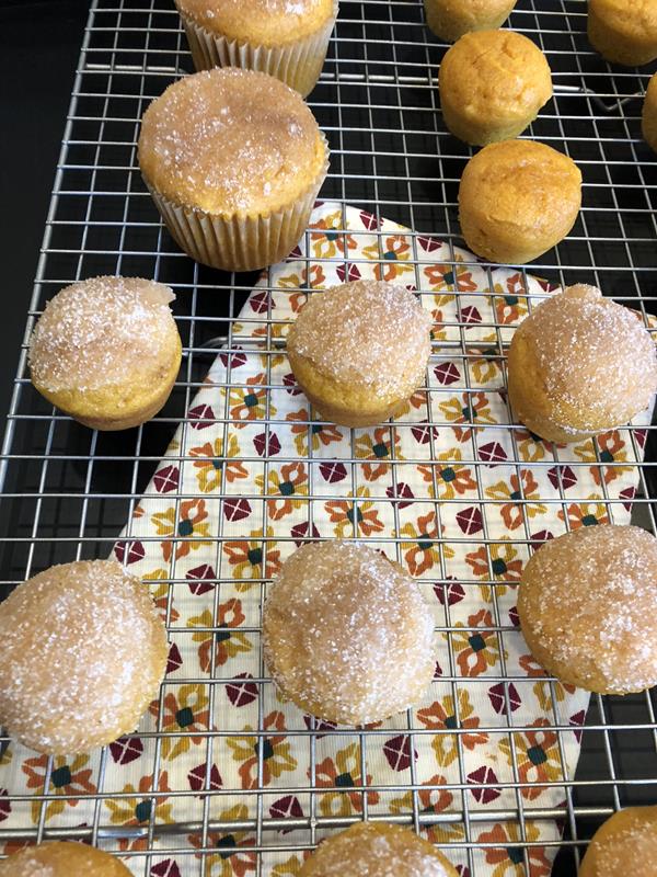 Gluten Free Pumpkin Doughnut Muffins 