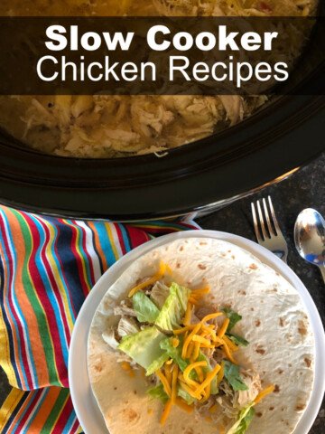 Slow Cooker Chicken Recipes