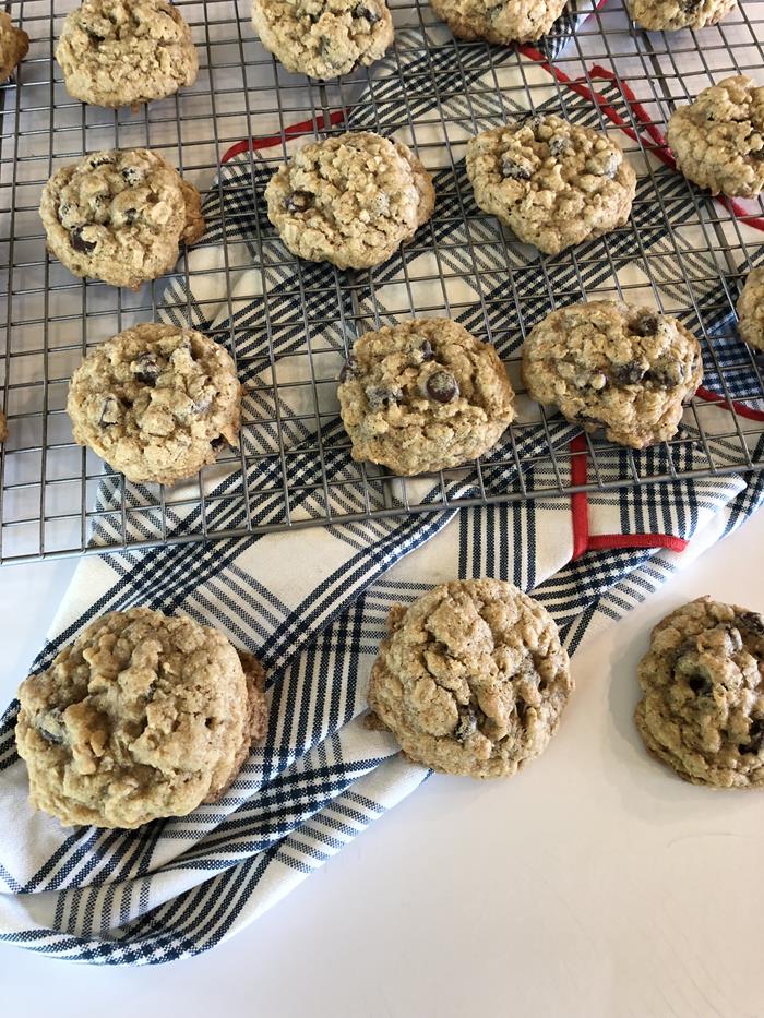Chewy Gluten Free Oatmeal Chocolate Chip Cookies