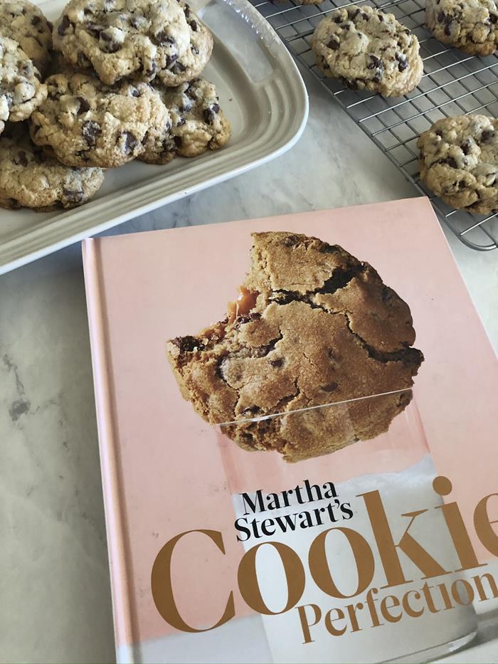 Gluten Free Chocolate Chip Cookie Recipe 