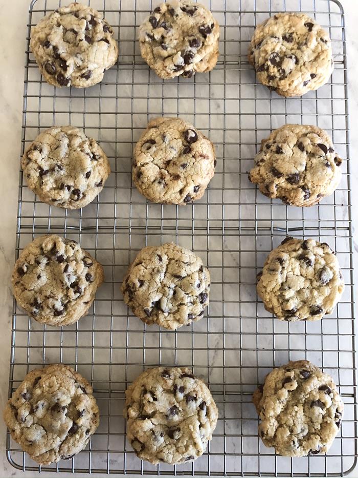 Gluten Free Chocolate Chip Cookie