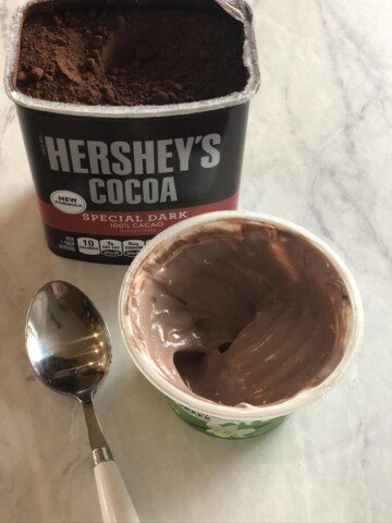 Chocolate Yogurt