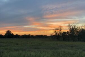 Everyday Adventures 45 Sunset