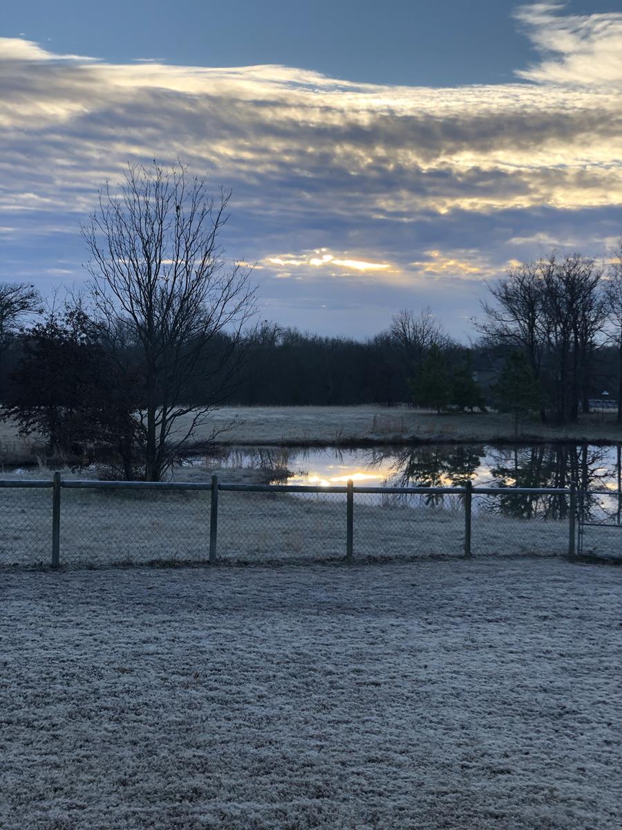 Pond, Field, Sunset