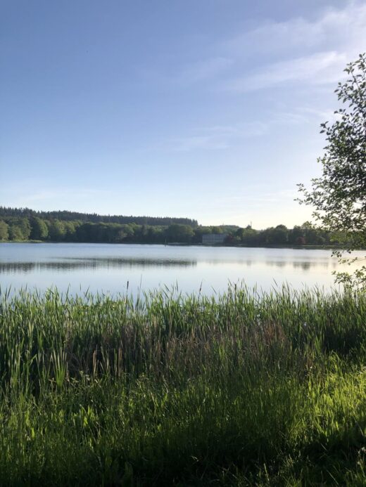 Oregon Lake