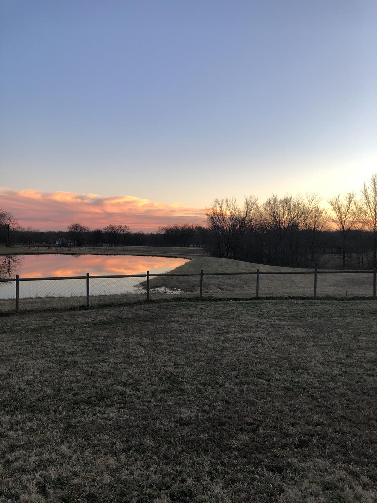 sunset over pond