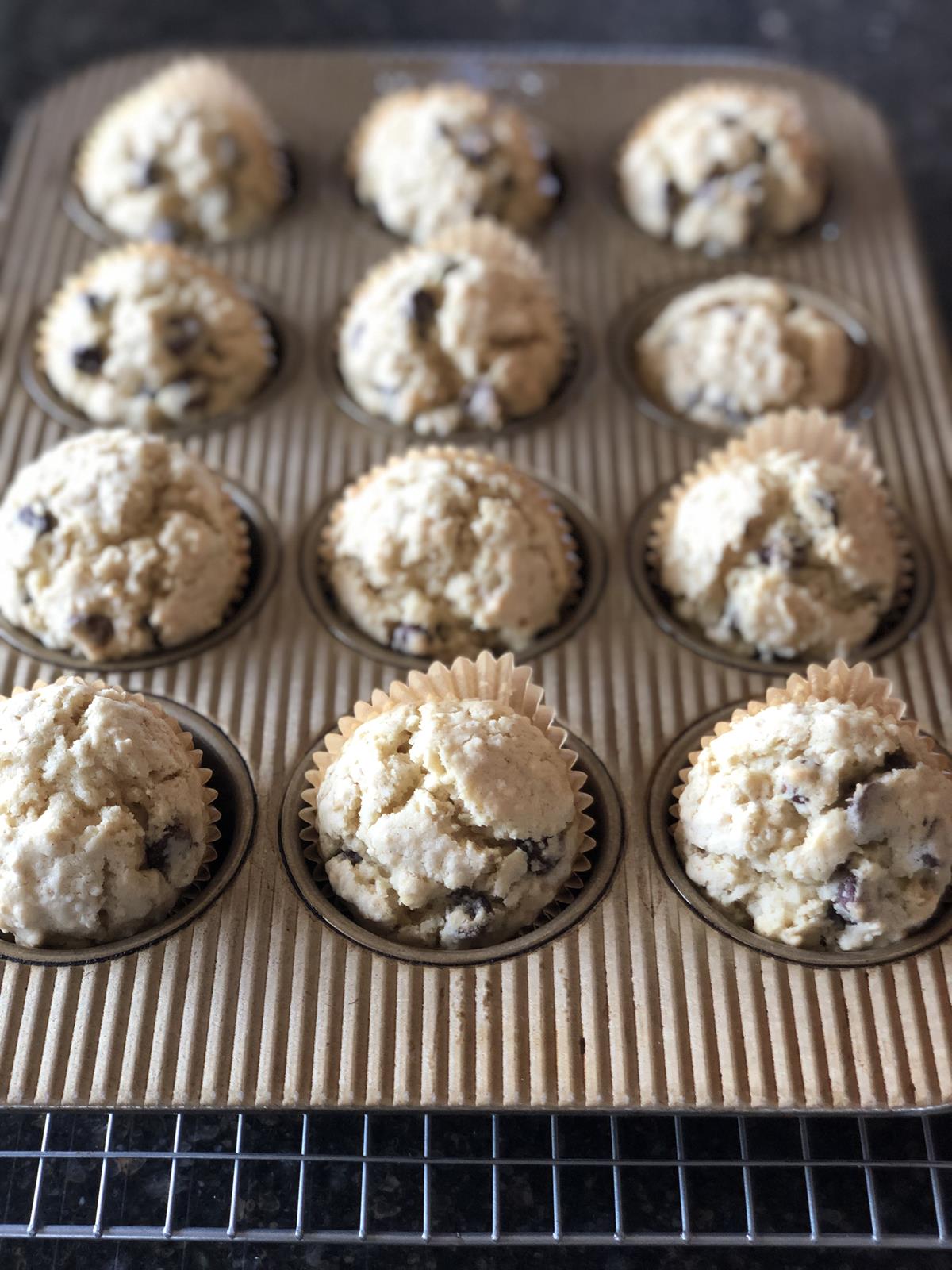 oatmeal chocolate chip muffins in muffin pan