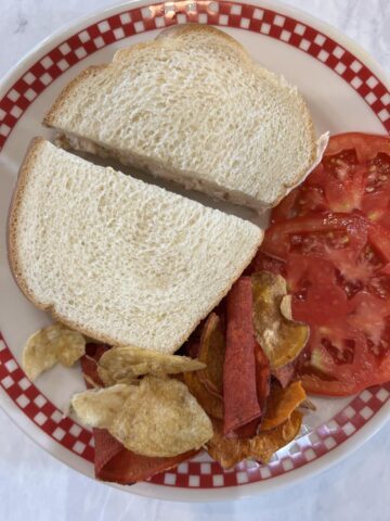 Chicken Salad Sandwich on a white and red plate with chips and tomatoes