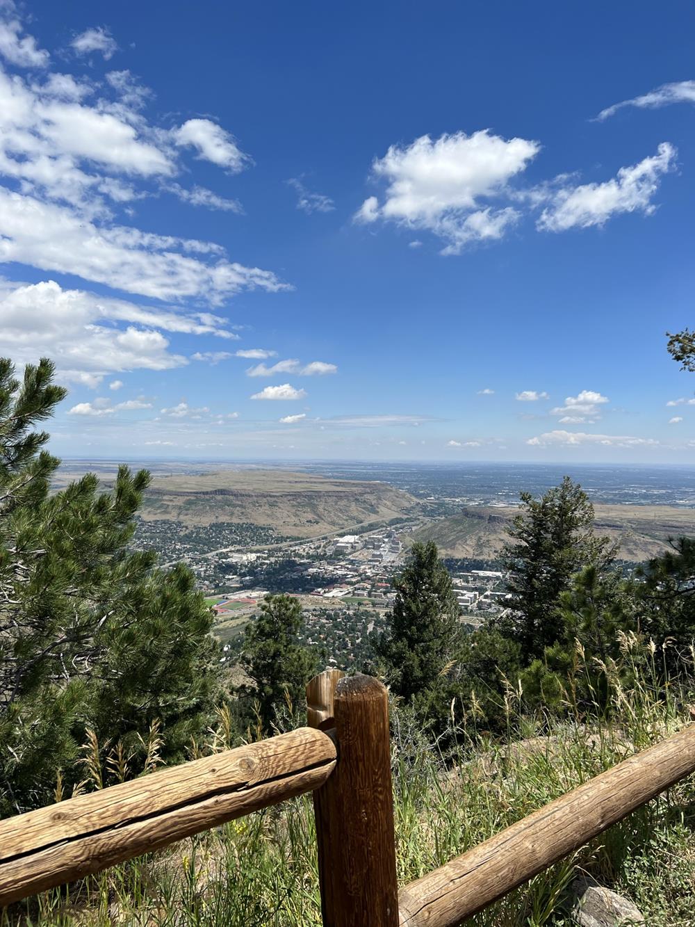 Colorado trees and sky