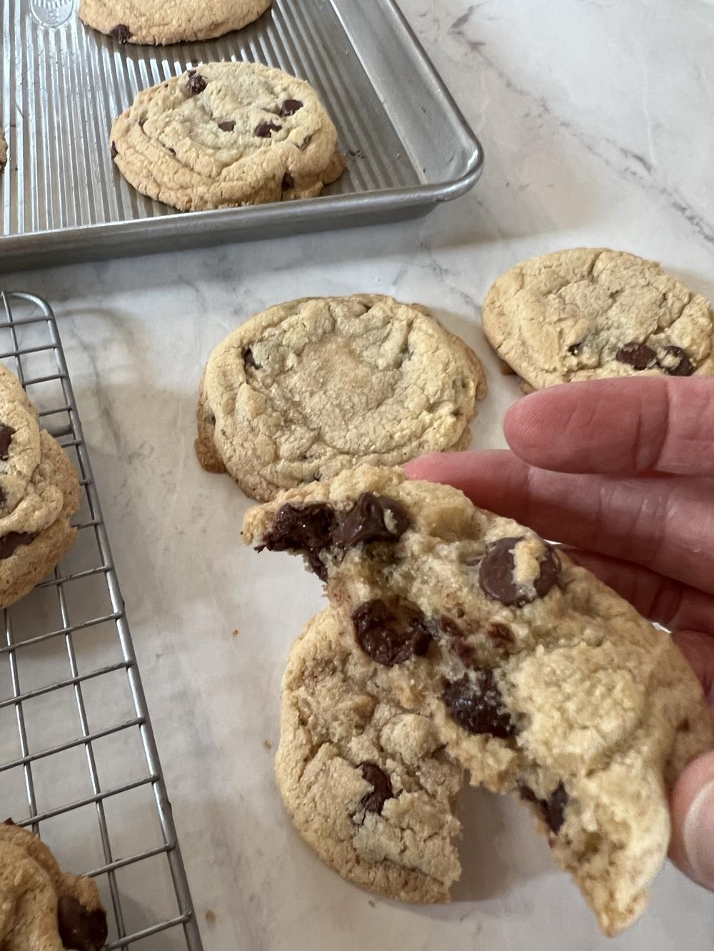 a hand holding a gluten free chocolate chip cookie