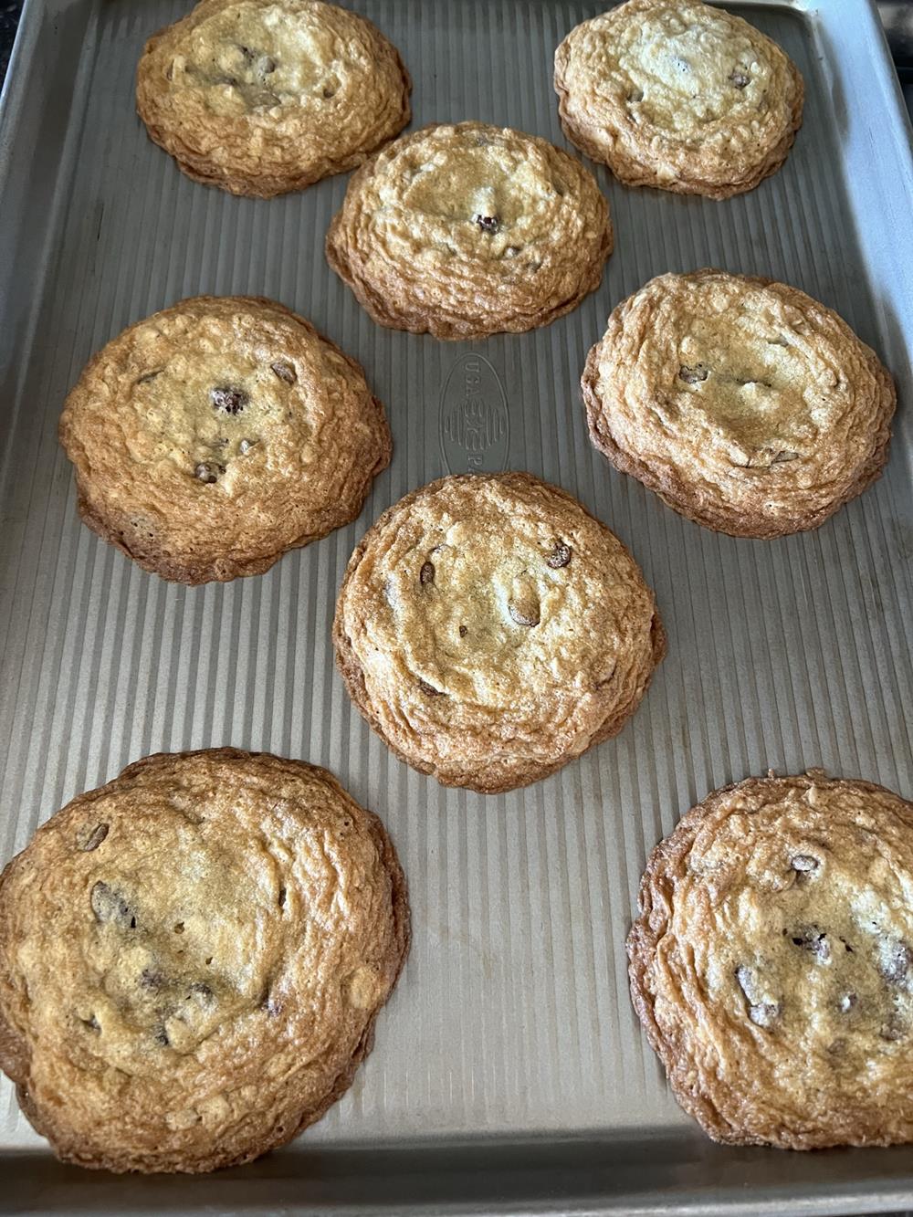 gluten free chocolate chip oatmeal cookies on cookie sheet