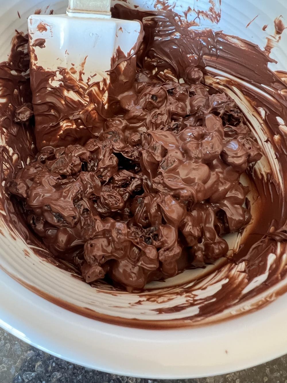 melted chocolate and raisins