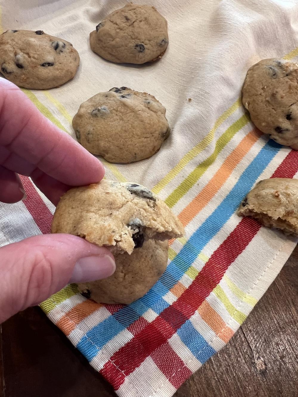 hand holding gluten free applesauce cookie