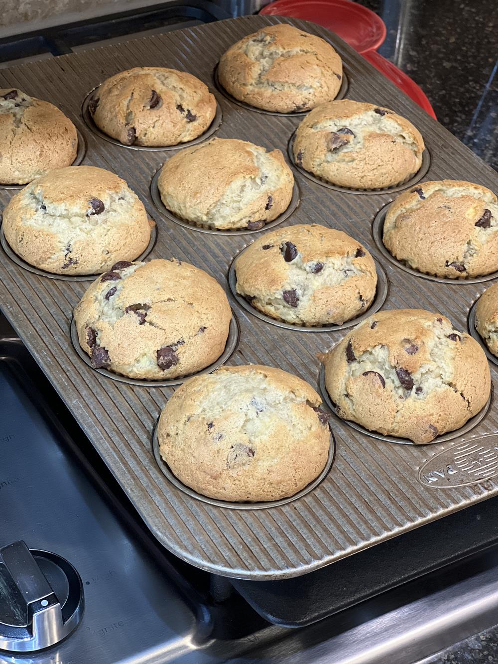 oatmeal chocolate chip muffins in muffin pan on stovetop