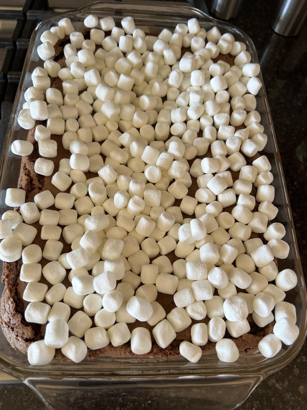 chocolate cake with marshmallows on top