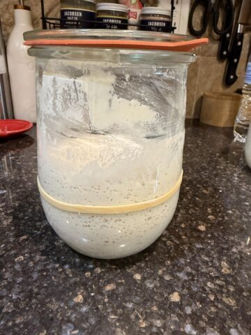 gluten free sourdough starter in jar on counter