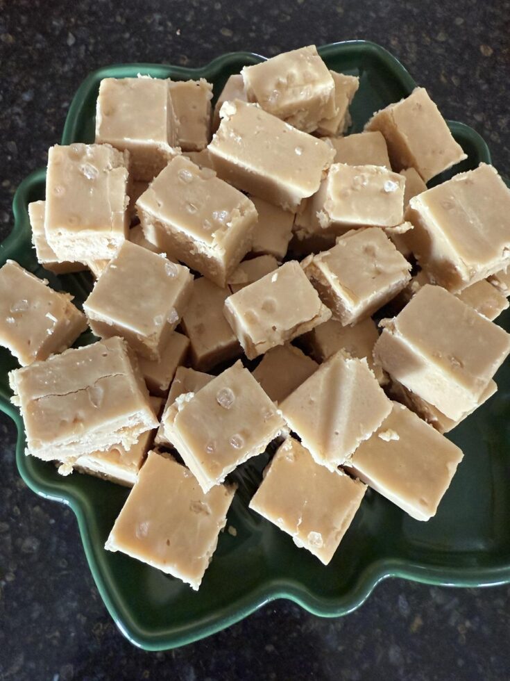 Salted Caramel Fudge GF on green plate