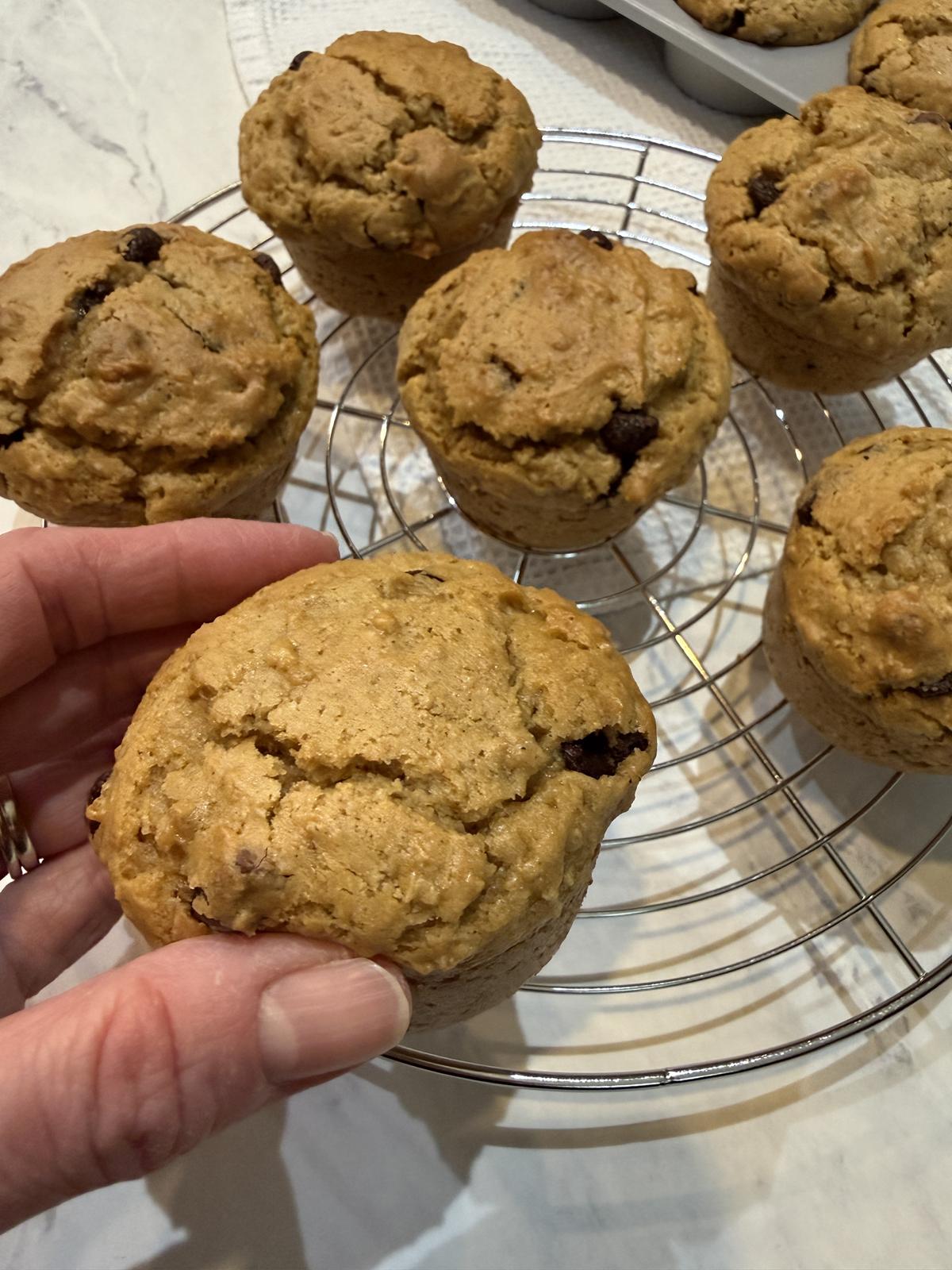 oatmeal chocolate chip peanut butter muffins on cooling rack with hand holding muffin