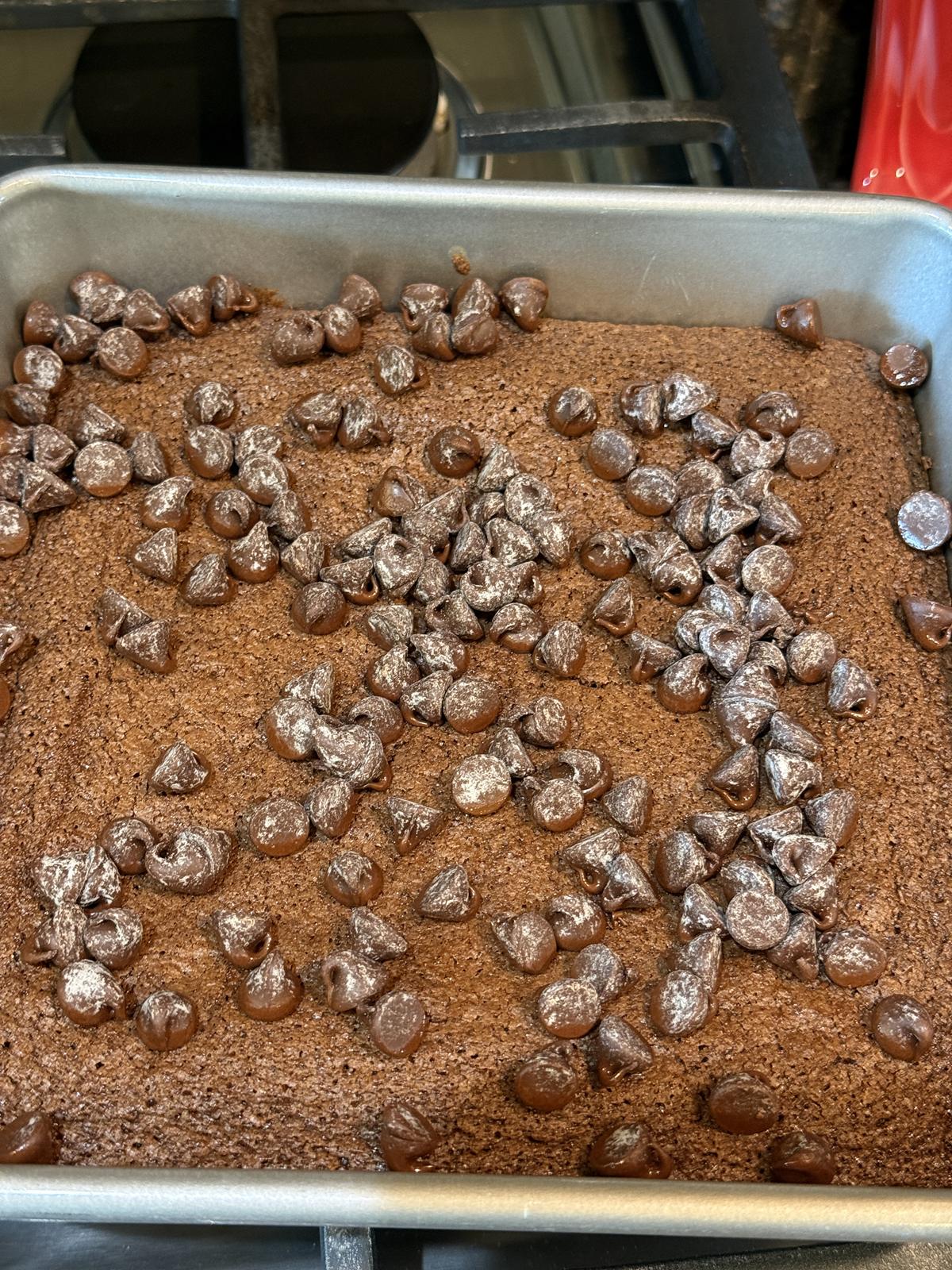 brownies with chocolate chips on top