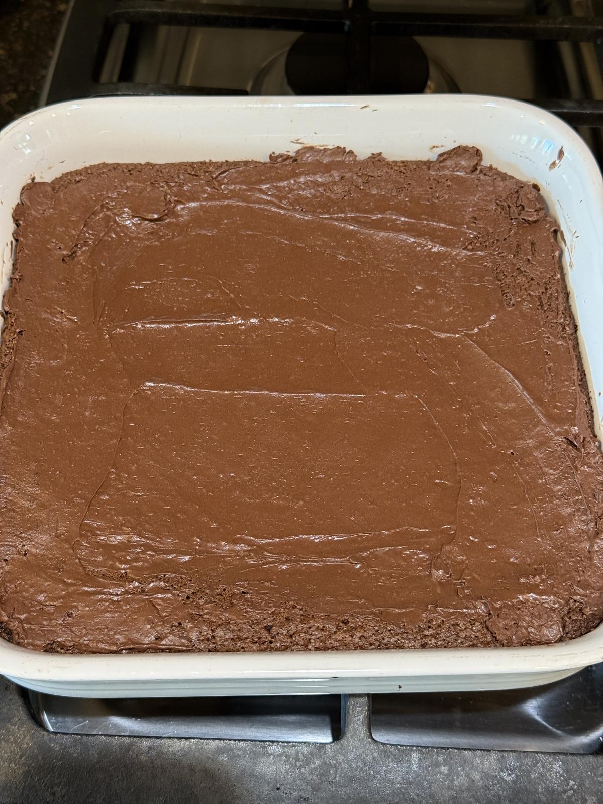 gluten free brownies with melted chocolate on top